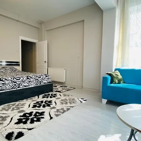 Sisli Pangalti Da 2+1 Jakuzili Luex 伊斯坦布尔
